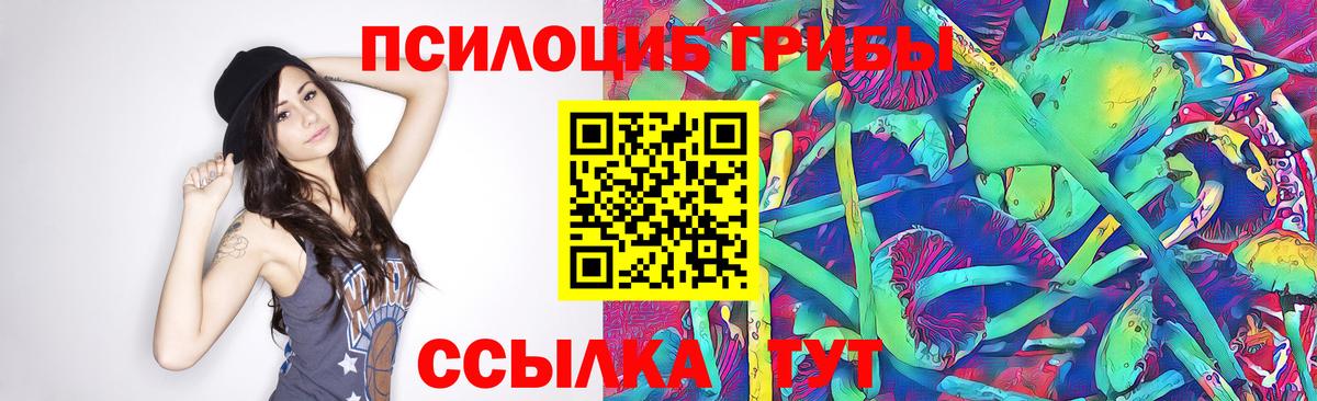 Псилоцибиновые грибы Psilocybe  Вход с VPN  Белая Калитва 